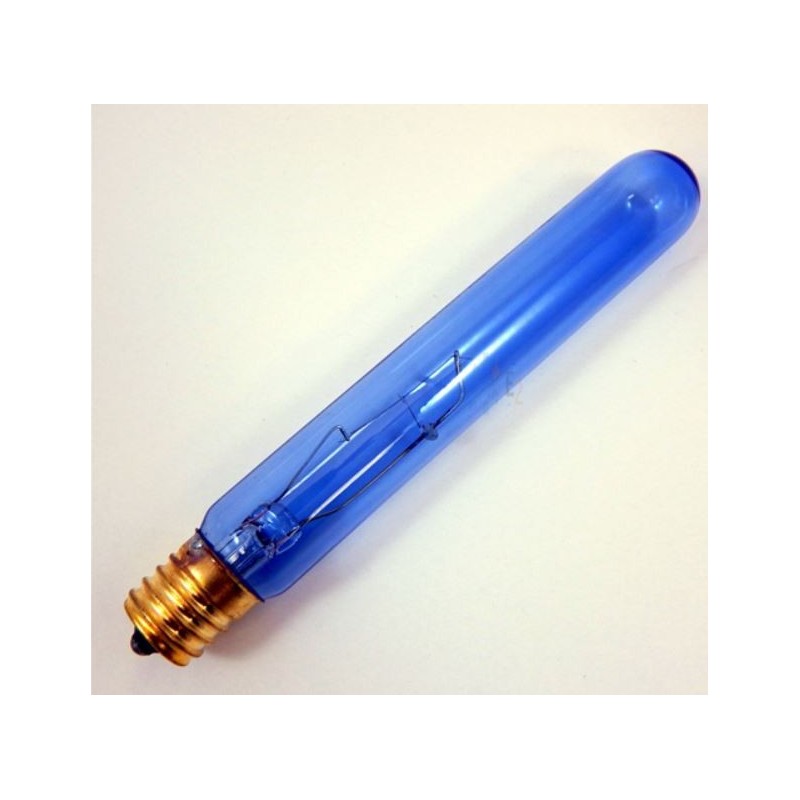 Lamp 40 Watt Clear Light