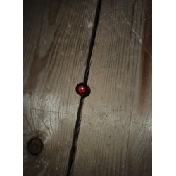 Indicator Light