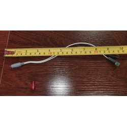 Neon Indicator Lamp