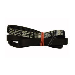 Poly V Belt