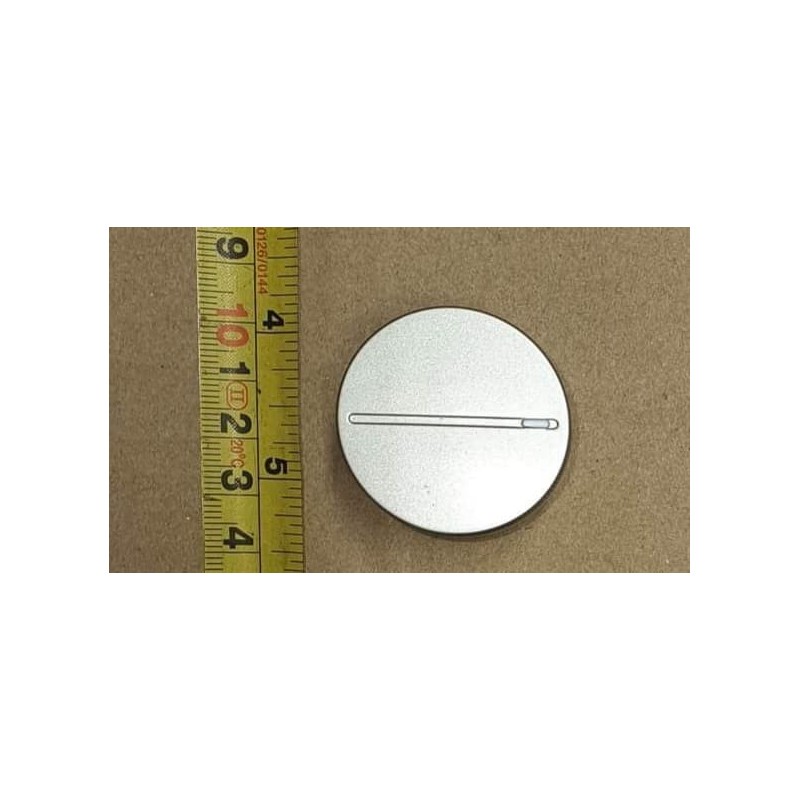 Silver Control Knob