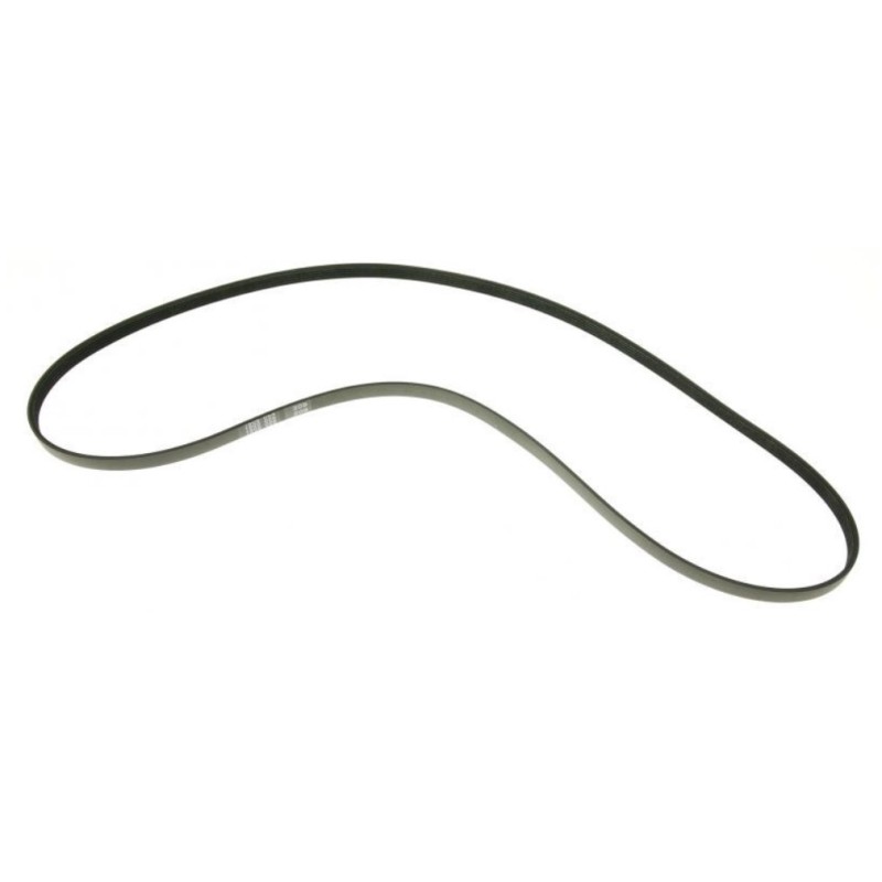 Drive Belt