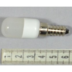 Bulb