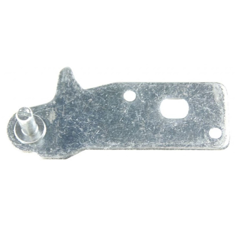 Lower door hinge