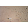 Thermocouple Front side burner