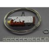 THERMOSTAT(FOSHAN KDF29N6)PLS